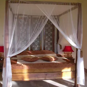 Field And Ubud (Bali)