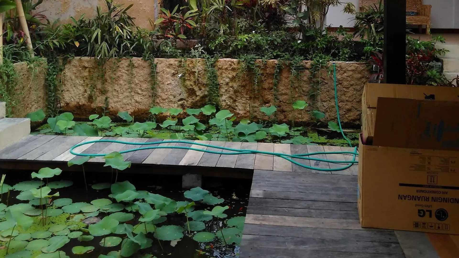 Lotus Villa Ubud Indonesia